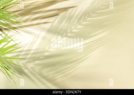 Minimalistic abstract background for cosmetic product presentation, premium empty podium with shadows on sunny elegant background, design template and Stock Photo