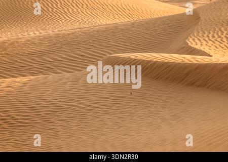 An abstract close-up of golden sand dunes in the Oman Desert, showcasing intricate ripples and waves formed by wind. The warm, soft light of sunset ca Stock Photo
