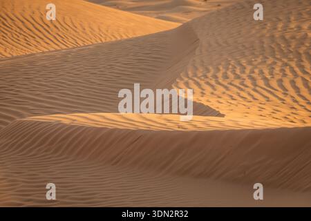 An abstract, close-up view of rippling patterns and textures on golden sand dunes in the vast Oman Desert. The low angle, warm light of the setting su Stock Photo