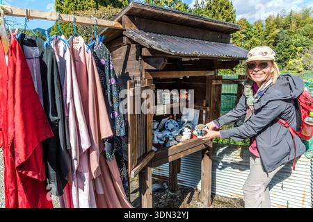 Angela Berg examines ceramics at a self-service bric-a-brac stall on the Kumano Kodo near Fushiogami, Tanabe, Wakayama Prefecture, Japan, kimonos hanging beside her. Pilgrims take what they like and leave the price in a money box. Stock Photo