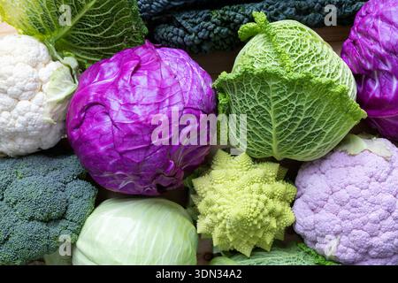 Many different types of cabbage on wood  table Stock Photo