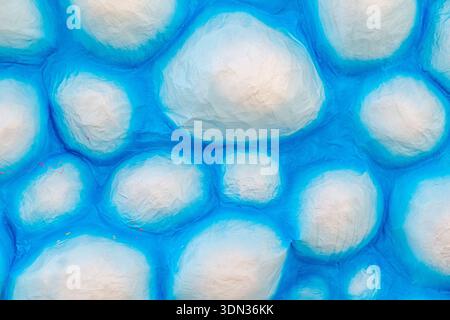 Abstract colorful spherical surface pattern Stock Photo