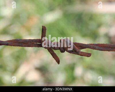 Close-up of rusty barbed wire Stock Photo