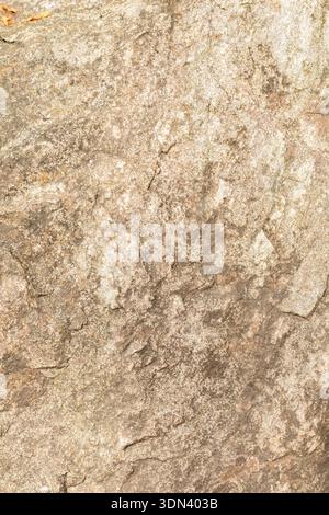 Rough stone surface with various textures and colors is seen in natural light. The rock exhibits unique patterns formed by nature over time. It rests Stock Photo