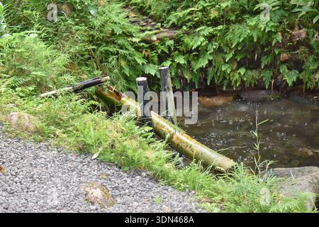 A Shishi-odoshi, a traditional Japanese bamboo water feature designed to make a rhythmic knocking sound, in a garden in St. Lucia. Stock Photo