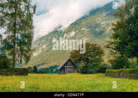 Old worn wooden farm shed in Bohinj Valley, Slovenia, surrounded by Julian Alps rural alpine landscape. Selective focus. Stock Photo