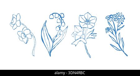 Vector collection of floral and botanical elements. Set of wildflowers, plants, and herbs. Hand-drawn. Vector outline illustrations of bellflowers, chamomile, calendula. Stock Vector
