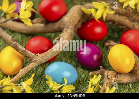 Colourful Easter eggs lay on grass surrounded by blooming branches and yellow flowers Stock Photo
