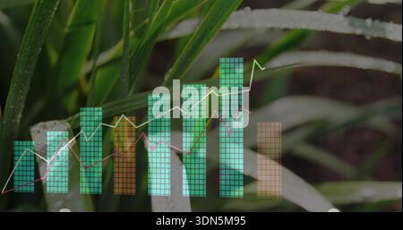Displaying translucent bar chart overlaying green leaves with dew outside, showing two line graphs Stock Photo