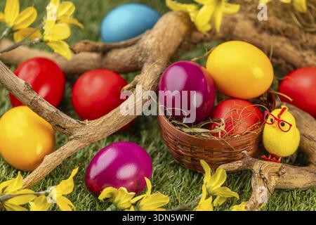 Colourful Easter eggs in and around a small basket, branches and blossoms on grass Stock Photo