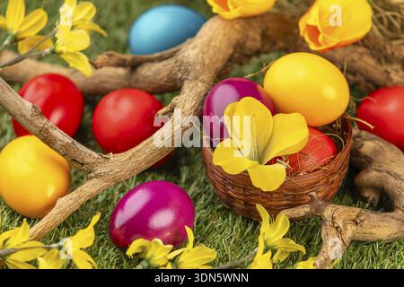 Colourful Easter eggs in and around a small basket, branches and blossoms on grass Stock Photo