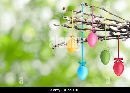 Easter eggs hanging from willow branches outdoors Stock Photo