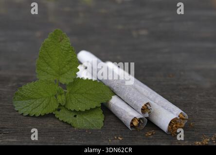 herbal cigarettes mint Medicinal herbal cigarettes with mint on rustic background Stock Photo