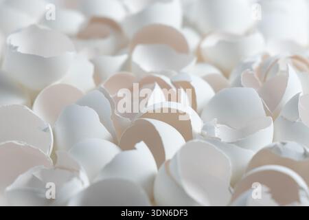 Many eggshells are scattered across a flat surface after the eggs have been used in cooking or baking. Stock Photo