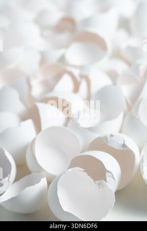 Many pieces of white eggshells are scattered on a flat surface in a kitchen. The shells are broken into different sizes and shapes. Stock Photo