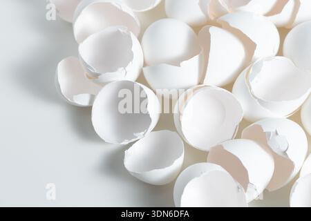 Pieces of white eggshell are spread out on a clean surface. The shells are broken and show signs of recent use, likely from cooking or baking. Stock Photo
