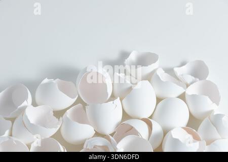 Many eggshells are scattered on a white surface. The shells are all white and have cracks and breaks. They show signs of being emptied. Stock Photo