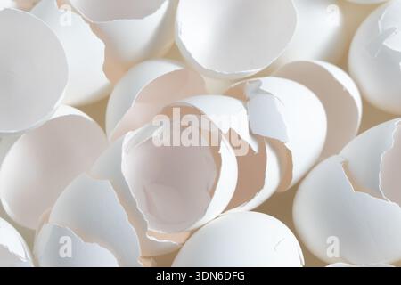 White eggshells lay scattered on a flat surface. Many shells are cracked and broken, revealing their inner shape. T Stock Photo
