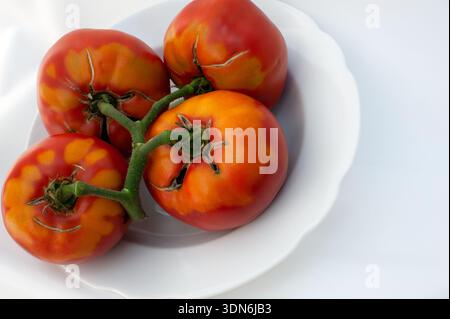 Delicious red tomatoes, isolated on white background Stock Photo