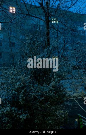 Snow on bushes with textures and patterns in the evening city. Stock Photo