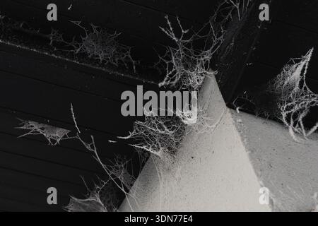 Dark and atmospheric close-up of dusty cobwebs in an abandoned interior corner. The image evokes mystery, neglect, and the passage of time, with stron Stock Photo