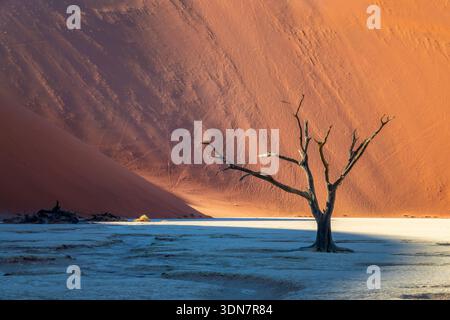 Deadvlei (or Dead Vlei), dead  tree and sand dunes in Sossusvlei, Namib Naukluft national park, Namibia scenic landscape, Africa Stock Photo