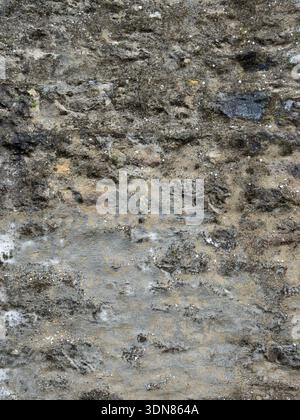Portrait rustic grey and black limestone wall suitable as a Rough text wallpaper Stock Photo