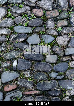 Historic cobbled path creating a natural ground background. Stock Photo
