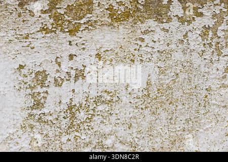 Close-up of a heavily weathered wall with peeling white paint revealing rough yellow-brown stucco, creating a textured, grunge-style background convey Stock Photo