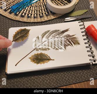 Collection of pressed and dried leaves and flowers in an album, herbarium. Handicrafts and hobbies. Exotic plants of the Mediterranean.  Stock Photo