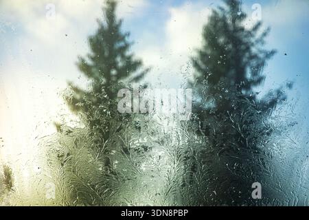 Frosted Window with Pine Trees and Winter Light. Close-up of frosted glass with delicate ice patterns, showing blurred silhouettes of pine trees and Stock Photo
