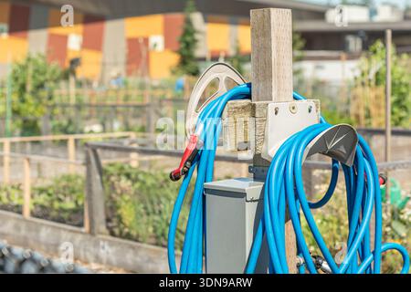 Close up of a blue color hose water pipe hanging on a mount in green garden. Water sprinkler hose. Reel of hose pipe, nobody Stock Photo