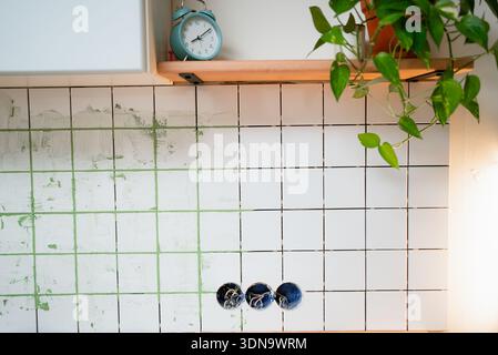 Kitchen wall in progress with white ceramic tiles applied to the backsplash, green adhesive residue visible on some squares, ready for grouting and final installation of electrical sockets Stock Photo