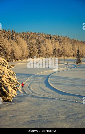 Espoo, Finland - December 31, 2023: Professional cross country ski track winding through a snowy field at sunset. People skiing in Finnish winter fore Stock Photo