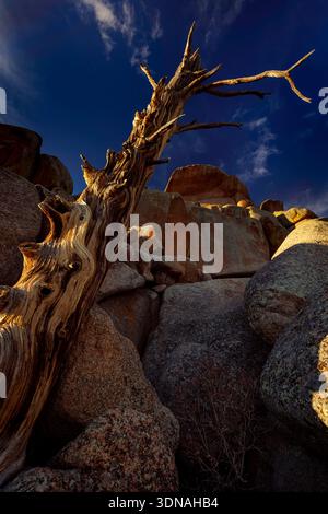 Rock formations at the area called Vedauwoo in the Medicine Bow-Routt National Forest of southeastern Wyoming near Laramie. Stock Photo