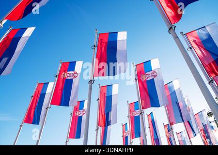 Low angle of Serbian national flags waving on flagpoles against blue sky background. Stock Photo