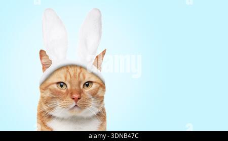 Cute cat with Easter bunny ears headband on light blue background. Banner design with space for text Stock Photo