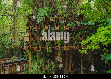 A charming outdoor scene featuring a large collection of small wooden birdhouses mounted on a frame against a lush tropical background. Ferns and gard Stock Photo