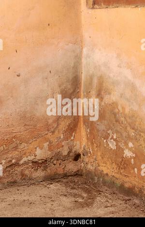 weathered wall corner on concrete floor, peeling orange paint with damp patches and mold residue, full frame with copy space, renovation or industrial Stock Photo