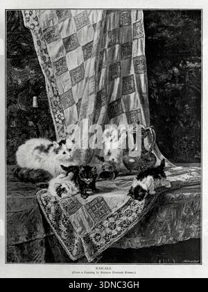 Rascals Mother cat and kittensfrom The book of the cat by Simpson, Frances, Miss Publication date 1903 Publisher Cassell and company, limited Stock Photo