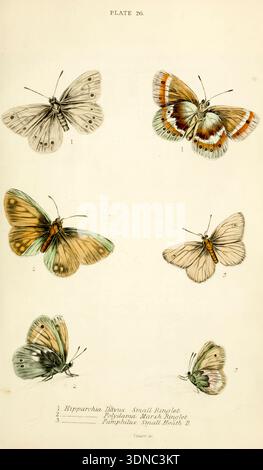 vintage-scientific-