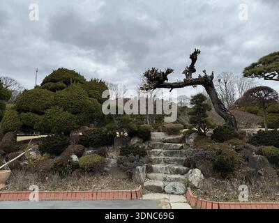 Twisted dead pine arch over stone steps in Korean-style bonsai garden, overcast sky Stock Photo