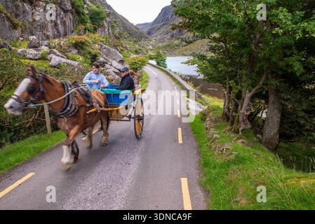 Horse-drawn jaunting cars on the narrow road through the Gap of Dunloe, County Kerry, Ireland. Stock Photo