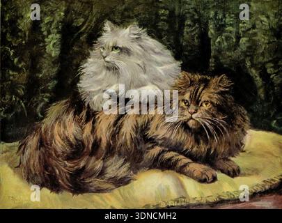 Two long haired Persian cats, a brown tabby and a silver cat, are resting comfortably on a yellow cushion in a classic illustrative style, showcasing their distinct fur colors and serene presence from ' The book of the cat ' by Simpson, Frances, Miss Publication date 1903 Publisher Cassell and company, limited Stock Photo