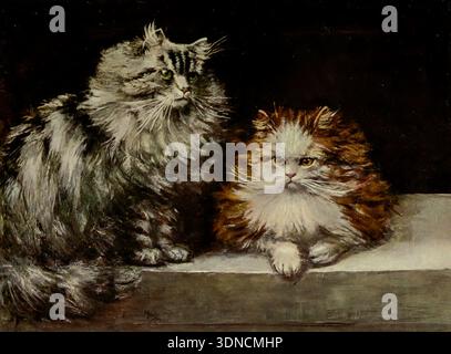 Two fluffy Persian cats, one silver tabby and one orange and white, are sitting on a ledge, looking observing and creating a charming vintage animal art composition from ' The book of the cat ' by Simpson, Frances, Miss Publication date 1903 Publisher Cassell and company, limited Stock Photo