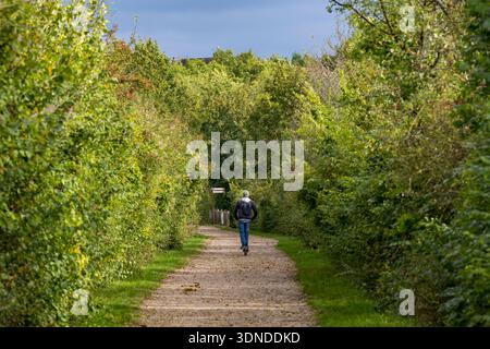 France, Yonne, Auxerre, the Green Belt which follows the old railway line linking Auxerre to Gien Stock Photo
