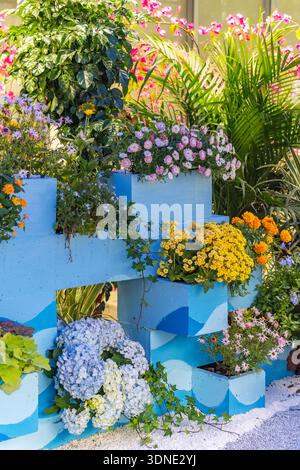 blue wall decorated with beautiful  flower in pots Stock Photo