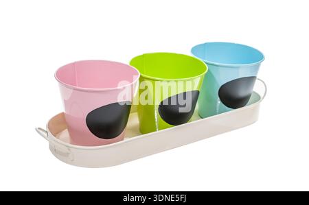 three colorful flower pots isolated on a white background. Stock Photo