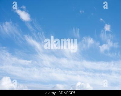 White clouds in spring stretched against a blue sky Stock Photo