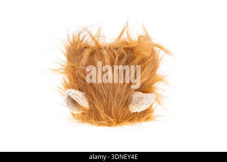 dog clothes on white background Stock Photo